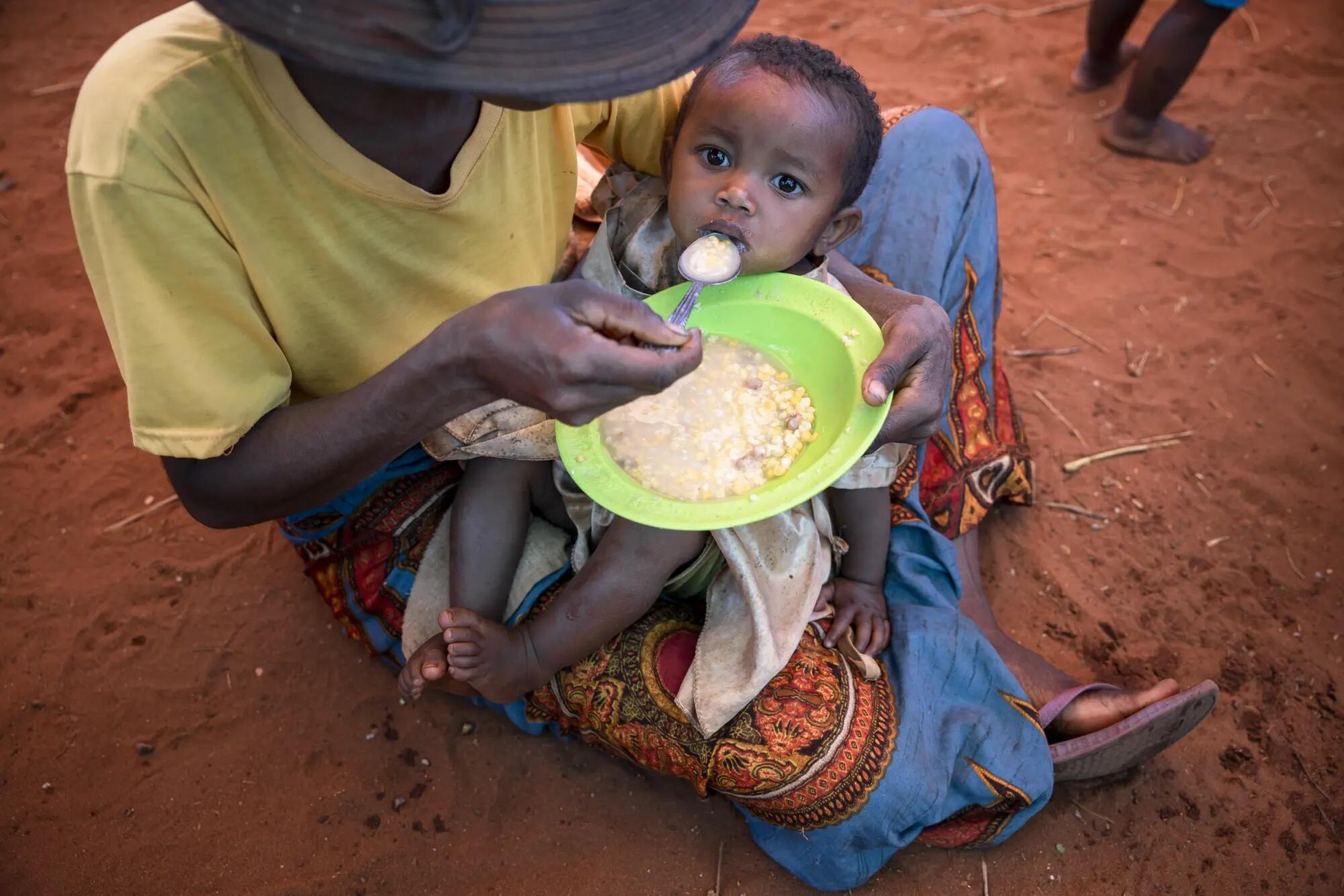 Agriculture africaine : nourrir le monde mais mourir de faim chez soi