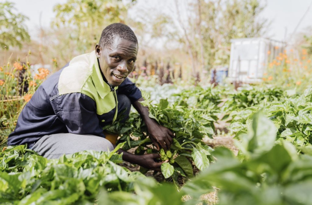 Entrepreneuriat sénégalais — ceux qui créent malgré l'État, pas grâce à lui